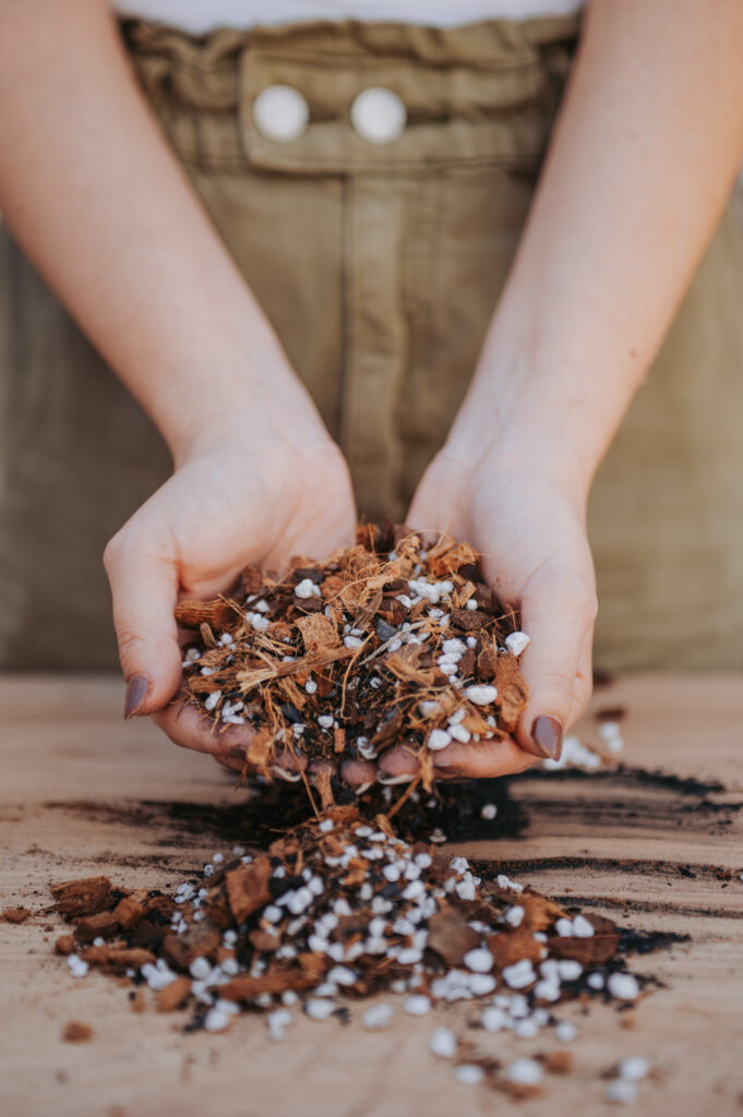 manos mostrando sustrato chunky artesanal y aroid mix de plantil world