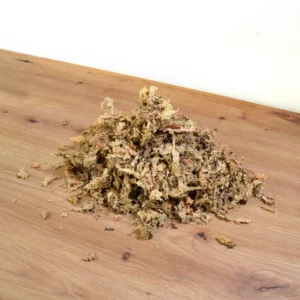Inicio Muestra de musgo Sphagnum deshidratado de alta calidad para tutores de Plantil World
